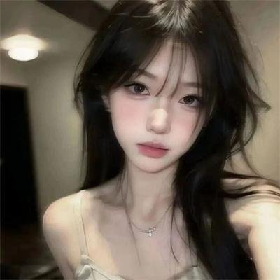 征服北极的人