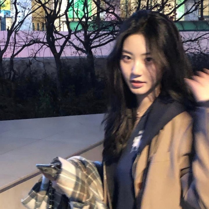 绿蝴蝶